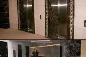 Dwie nowoczesne windy w holu z czarnymi lustrzanymi drzwiami i dekoracyjnymi pasami - Metamar