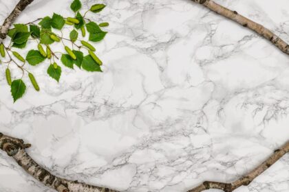 Gałąź z zielonymi liśćmi na białym marmurze